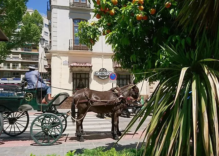 Апартаменты La Alcandora