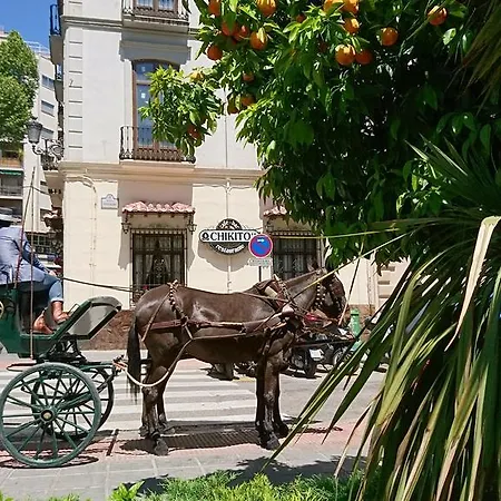 Apartament La Alcandora